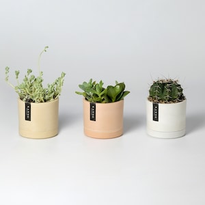 3" Mini Planters | Set of 3 Planters with Drainage Hole & Saucers | Small Cactus Planter | Ceramic Imitation | Indoor Planter Houseplant Pot