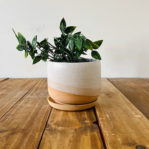 Round-Bottom Pot and Saucer - White - Handmade Ceramic