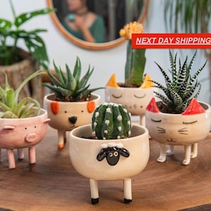 Handmade Ceramic Animal Cactus Planter – Cute Succulent Pot for Desk, Boho Decor & Gift Ideas – Minimalist, Whimsical and Unique Design